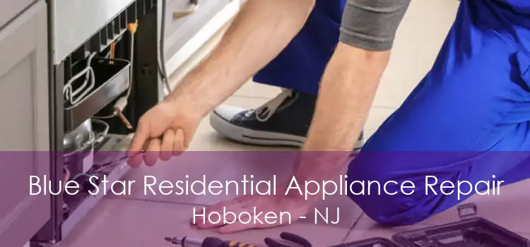 Blue Star Residential Appliance Repair Hoboken - NJ