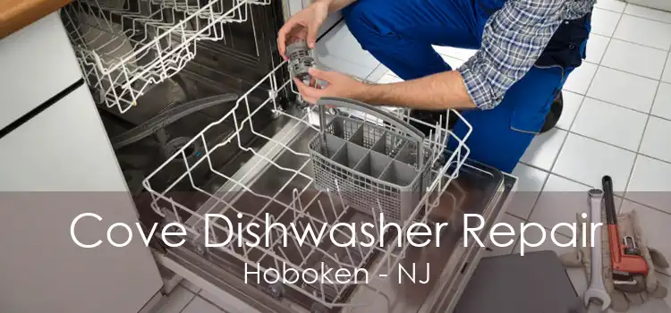 Cove Dishwasher Repair Hoboken - NJ