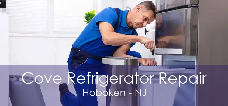 Cove Refrigerator Repair Hoboken - NJ