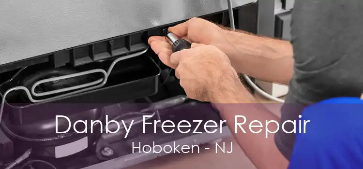 Danby Freezer Repair Hoboken - NJ