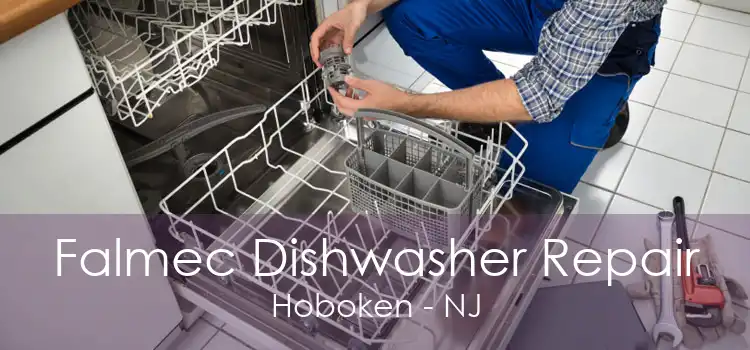 Falmec Dishwasher Repair Hoboken - NJ