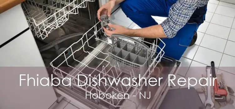 Fhiaba Dishwasher Repair Hoboken - NJ