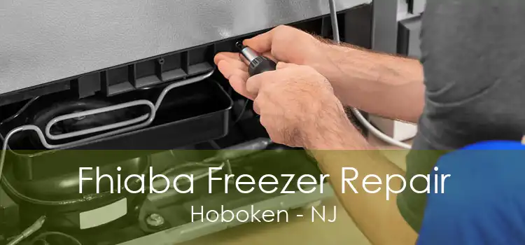 Fhiaba Freezer Repair Hoboken - NJ