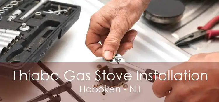 Fhiaba Gas Stove Installation Hoboken - NJ