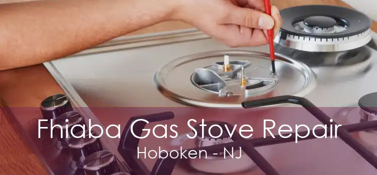 Fhiaba Gas Stove Repair Hoboken - NJ