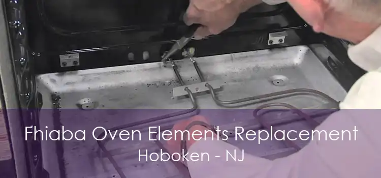 Fhiaba Oven Elements Replacement Hoboken - NJ