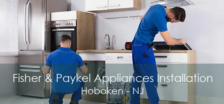 Fisher & Paykel Appliances Installation Hoboken - NJ