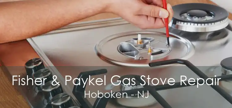 Fisher & Paykel Gas Stove Repair Hoboken - NJ