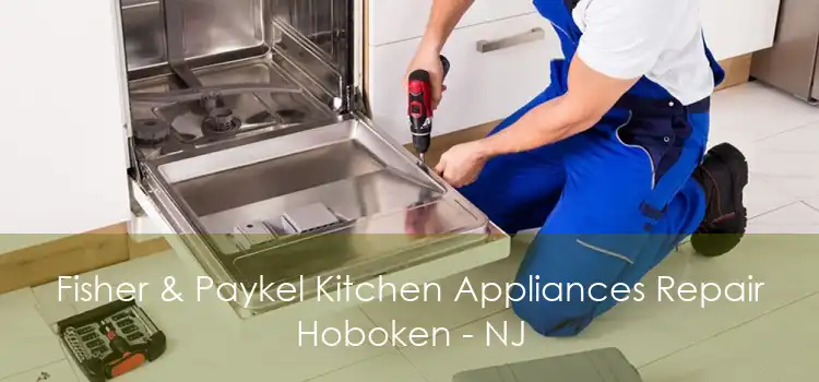 Fisher & Paykel Kitchen Appliances Repair Hoboken - NJ