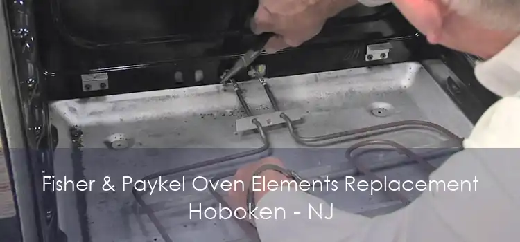 Fisher & Paykel Oven Elements Replacement Hoboken - NJ