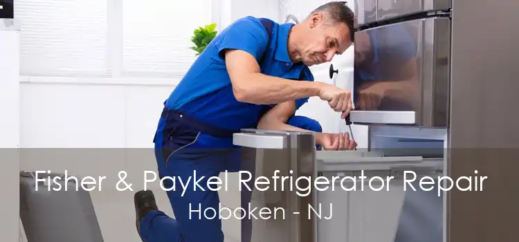 Fisher & Paykel Refrigerator Repair Hoboken - NJ