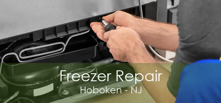 Freezer Repair Hoboken - NJ