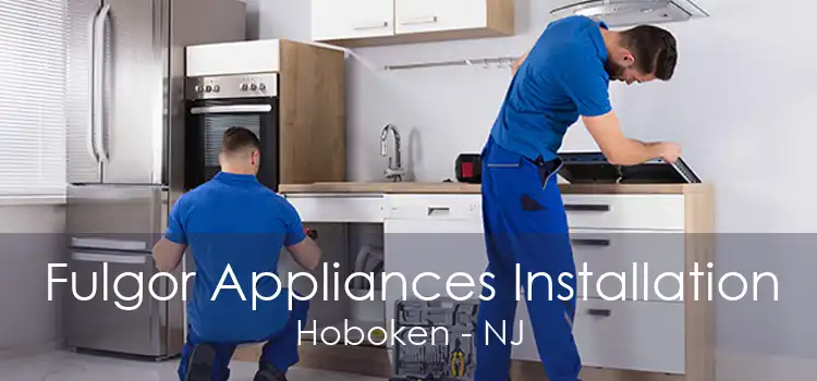 Fulgor Appliances Installation Hoboken - NJ