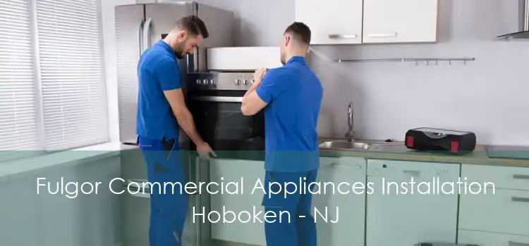 Fulgor Commercial Appliances Installation Hoboken - NJ