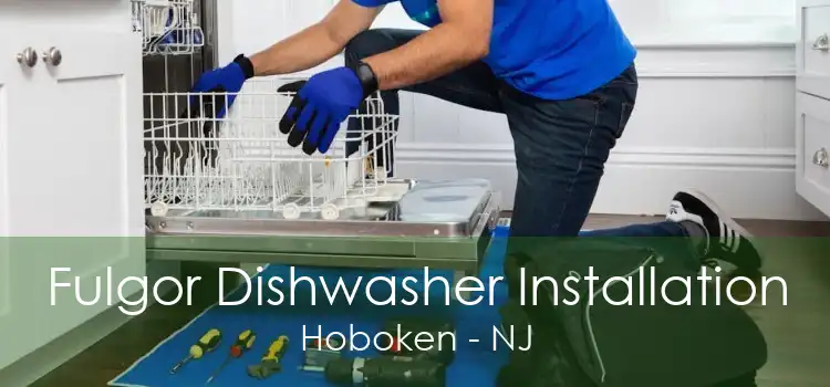 Fulgor Dishwasher Installation Hoboken - NJ