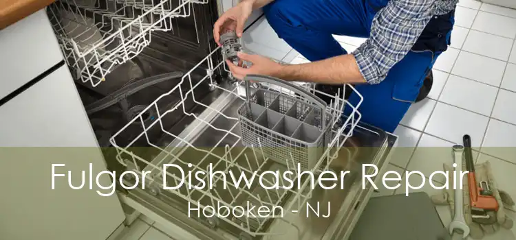 Fulgor Dishwasher Repair Hoboken - NJ