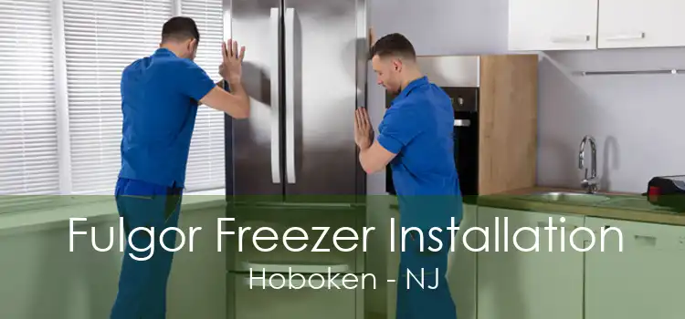 Fulgor Freezer Installation Hoboken - NJ