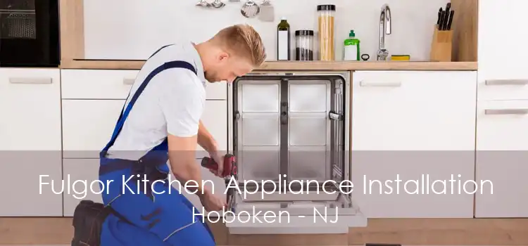 Fulgor Kitchen Appliance Installation Hoboken - NJ