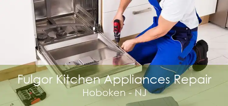 Fulgor Kitchen Appliances Repair Hoboken - NJ