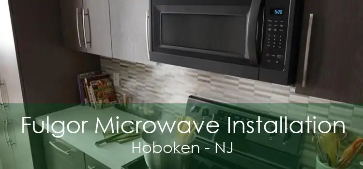 Fulgor Microwave Installation Hoboken - NJ