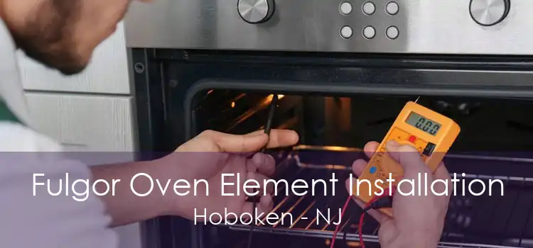 Fulgor Oven Element Installation Hoboken - NJ