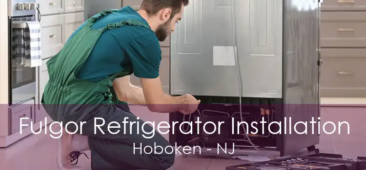 Fulgor Refrigerator Installation Hoboken - NJ