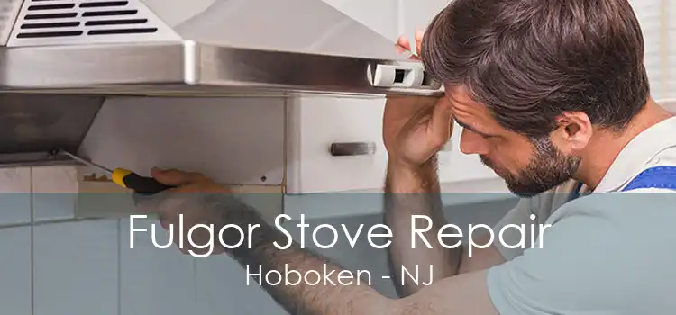 Fulgor Stove Repair Hoboken - NJ