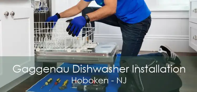 Gaggenau Dishwasher Installation Hoboken - NJ