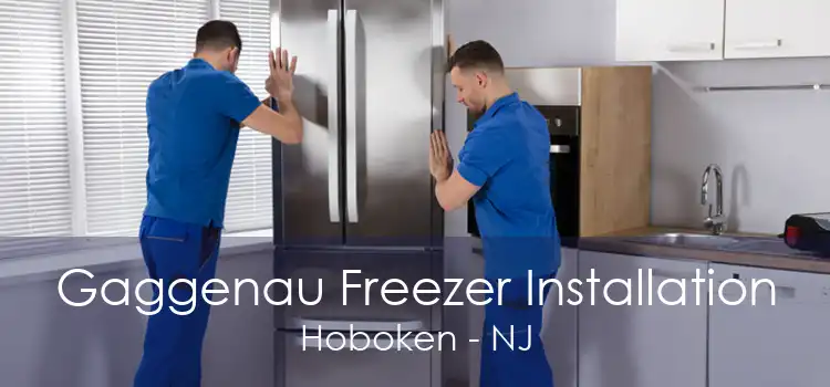 Gaggenau Freezer Installation Hoboken - NJ