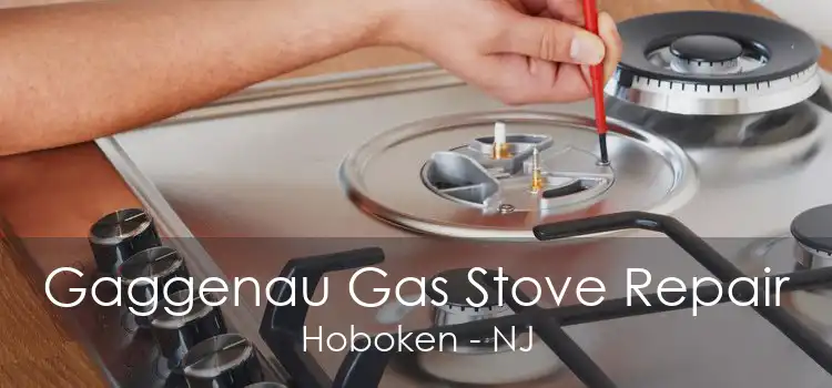 Gaggenau Gas Stove Repair Hoboken - NJ