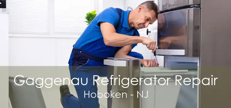 Gaggenau Refrigerator Repair Hoboken - NJ