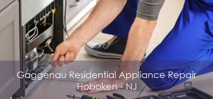 Gaggenau Residential Appliance Repair Hoboken - NJ