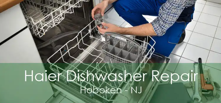 Haier Dishwasher Repair Hoboken - NJ