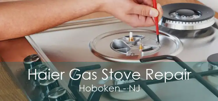 Haier Gas Stove Repair Hoboken - NJ