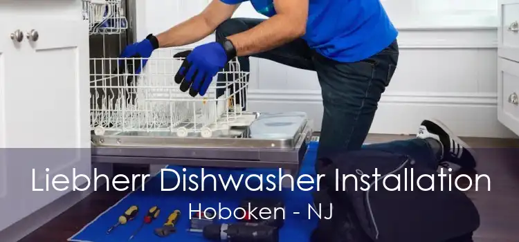 Liebherr Dishwasher Installation Hoboken - NJ