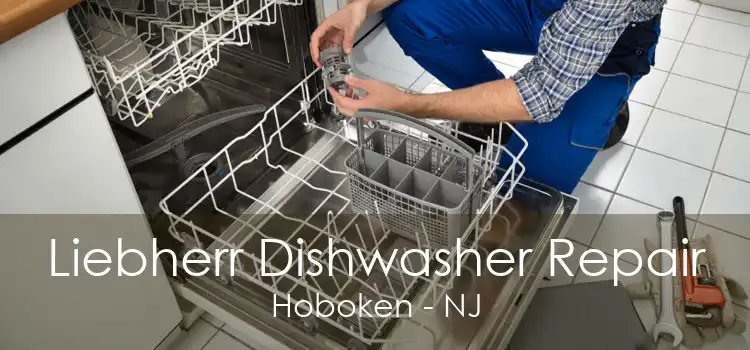 Liebherr Dishwasher Repair Hoboken - NJ