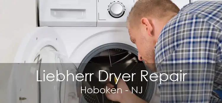 Liebherr Dryer Repair Hoboken - NJ