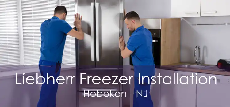 Liebherr Freezer Installation Hoboken - NJ