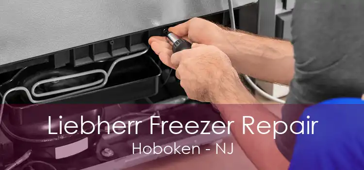 Liebherr Freezer Repair Hoboken - NJ