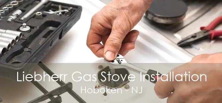 Liebherr Gas Stove Installation Hoboken - NJ