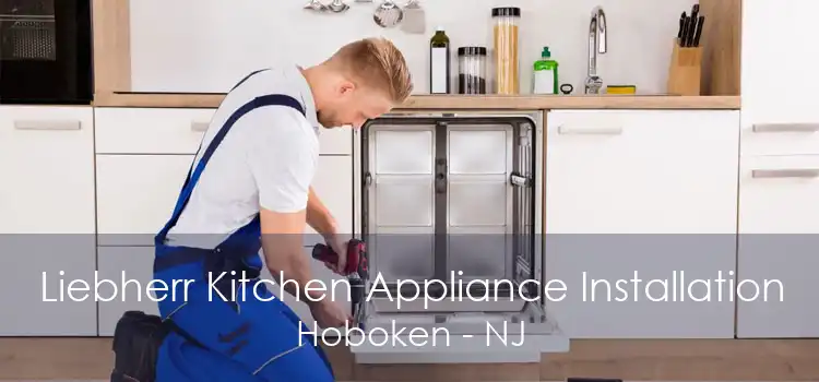 Liebherr Kitchen Appliance Installation Hoboken - NJ