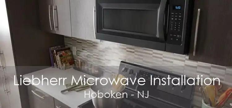 Liebherr Microwave Installation Hoboken - NJ