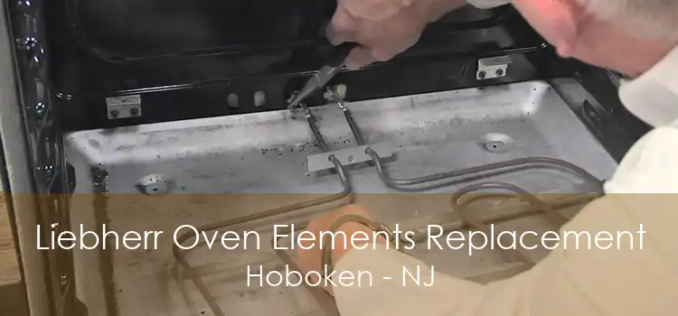 Liebherr Oven Elements Replacement Hoboken - NJ