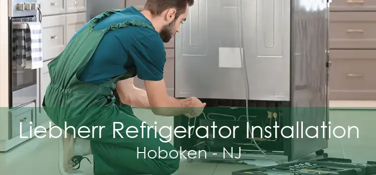 Liebherr Refrigerator Installation Hoboken - NJ