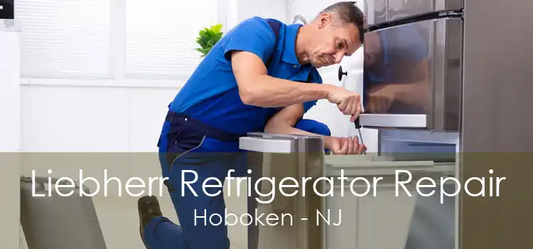 Liebherr Refrigerator Repair Hoboken - NJ