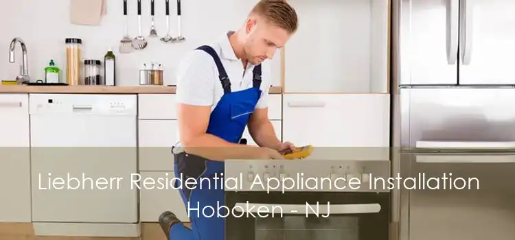 Liebherr Residential Appliance Installation Hoboken - NJ