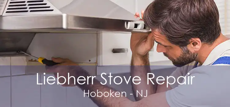 Liebherr Stove Repair Hoboken - NJ