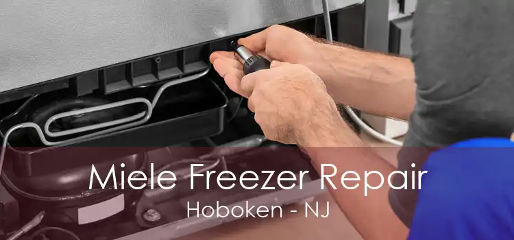 Miele Freezer Repair Hoboken - NJ