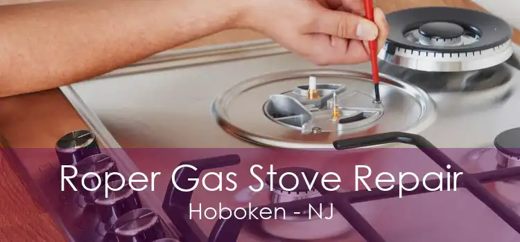 Roper Gas Stove Repair Hoboken - NJ