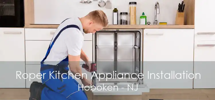 Roper Kitchen Appliance Installation Hoboken - NJ